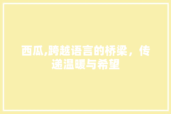 西瓜,跨越语言的桥梁，传递温暖与希望