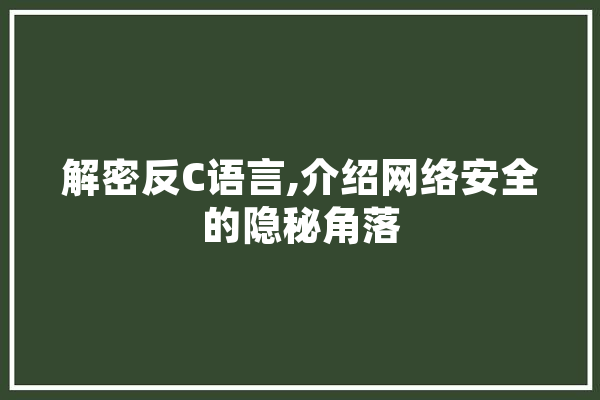 解密反C语言,介绍网络安全的隐秘角落