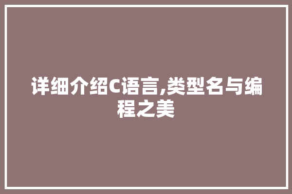 详细介绍C语言,类型名与编程之美