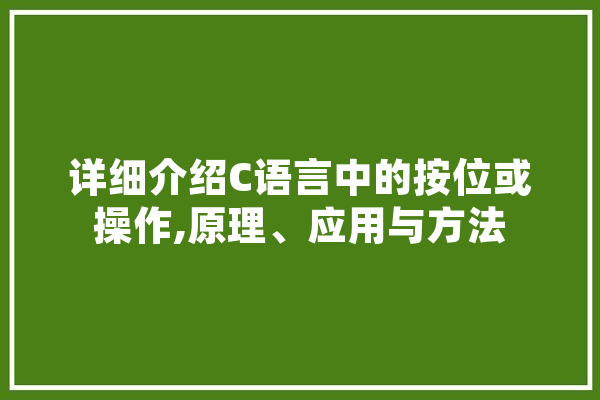 详细介绍C语言中的按位或操作,原理、应用与方法