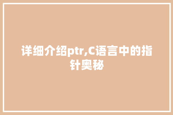 详细介绍ptr,C语言中的指针奥秘
