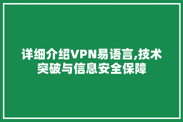 详细介绍VPN易语言,技术突破与信息安全保障 文字写作