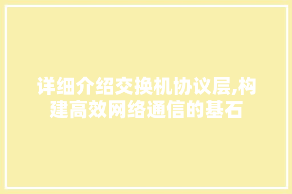 详细介绍交换机协议层,构建高效网络通信的基石