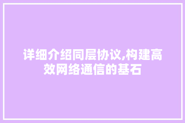 详细介绍同层协议,构建高效网络通信的基石