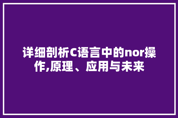 详细剖析C语言中的nor操作,原理、应用与未来