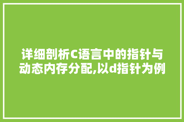 详细剖析C语言中的指针与动态内存分配,以d指针为例