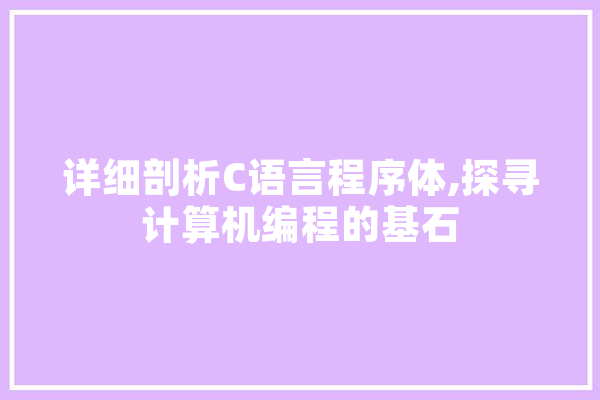 详细剖析C语言程序体,探寻计算机编程的基石