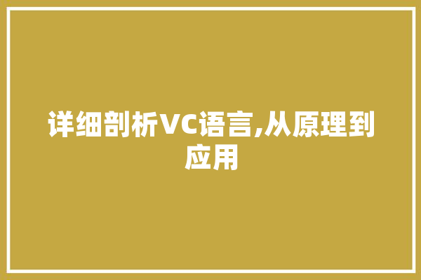 详细剖析VC语言,从原理到应用