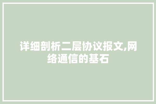 详细剖析二层协议报文,网络通信的基石
