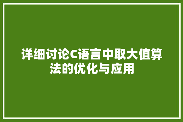 详细讨论C语言中取大值算法的优化与应用 计算机