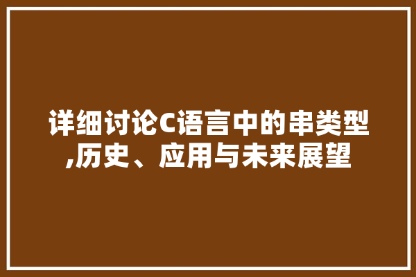 详细讨论C语言中的串类型,历史、应用与未来展望
