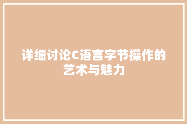 详细讨论C语言字节操作的艺术与魅力