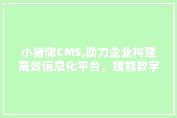 小猪微CMS,助力企业构建高效信息化平台，赋能数字化转型 计算机