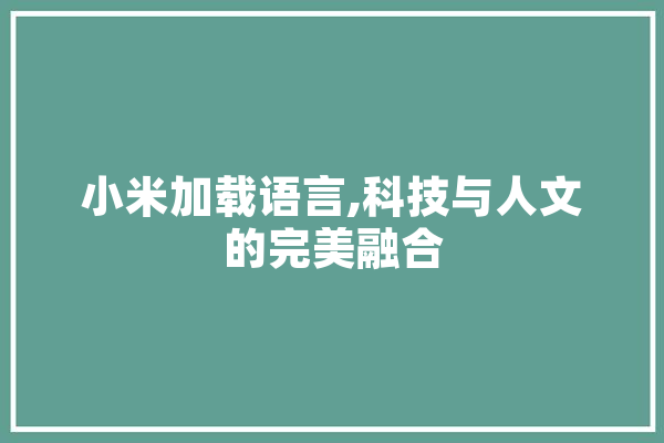 小米加载语言,科技与人文的完美融合