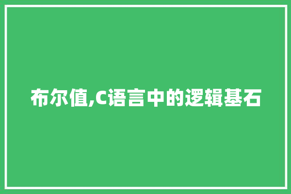 布尔值,C语言中的逻辑基石