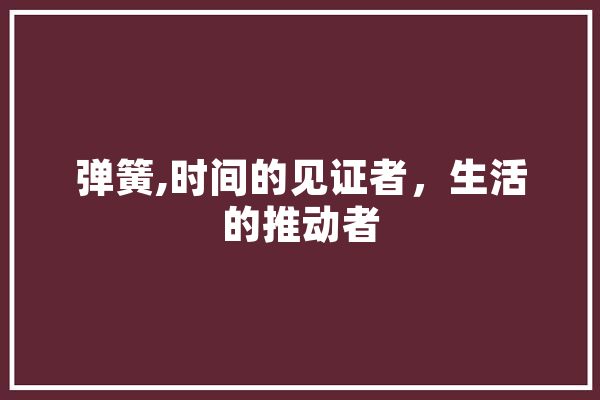 弹簧,时间的见证者，生活的推动者