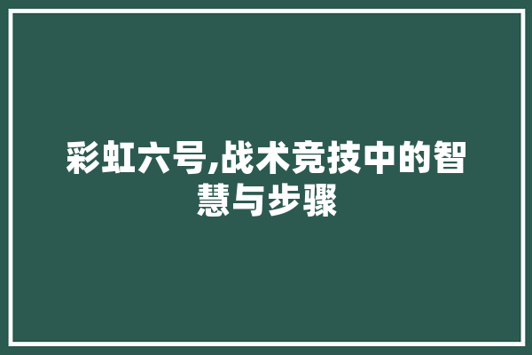 彩虹六号,战术竞技中的智慧与步骤 云服务