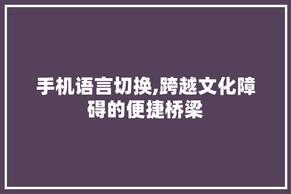手机语言切换,跨越文化障碍的便捷桥梁