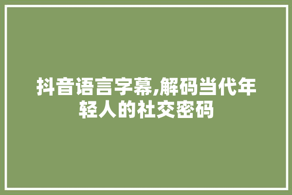 抖音语言字幕,解码当代年轻人的社交密码