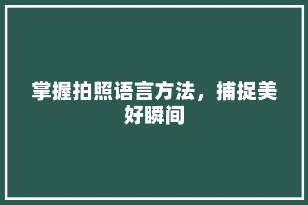 掌握拍照语言方法，捕捉美好瞬间