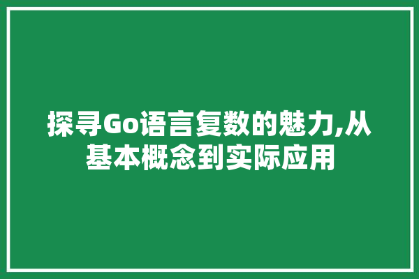 探寻Go语言复数的魅力,从基本概念到实际应用 智能助手