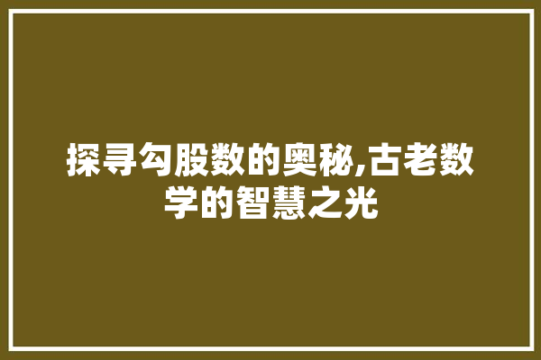 探寻勾股数的奥秘,古老数学的智慧之光