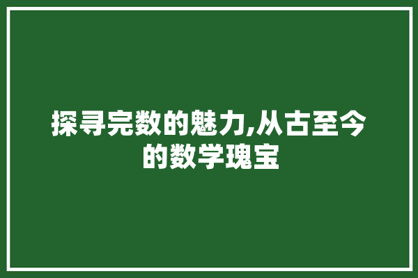 探寻完数的魅力,从古至今的数学瑰宝