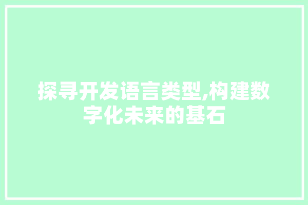 探寻开发语言类型,构建数字化未来的基石