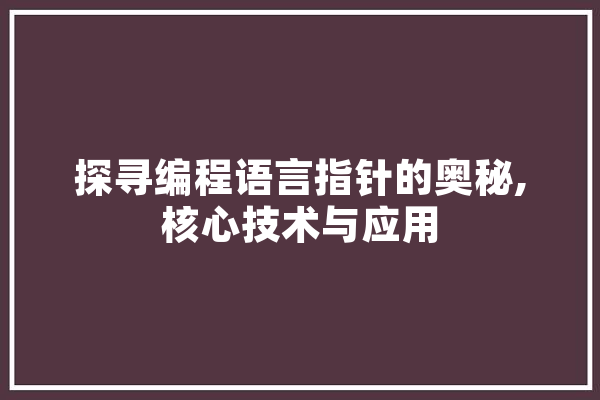 探寻编程语言指针的奥秘,核心技术与应用