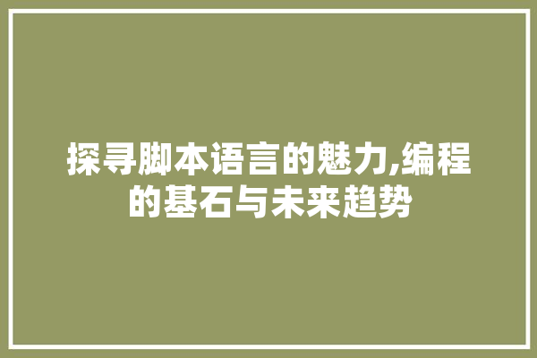 探寻脚本语言的魅力,编程的基石与未来趋势 计算机