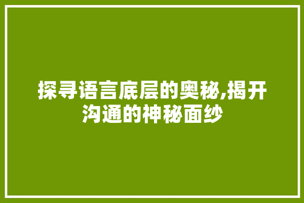 探寻语言底层的奥秘,揭开沟通的神秘面纱