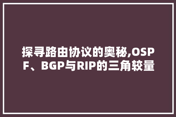 探寻路由协议的奥秘,OSPF、BGP与RIP的三角较量
