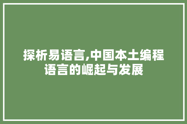 探析易语言,中国本土编程语言的崛起与发展