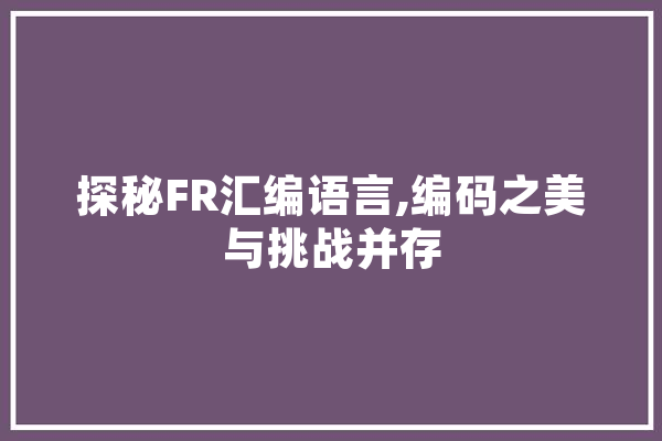 探秘FR汇编语言,编码之美与挑战并存