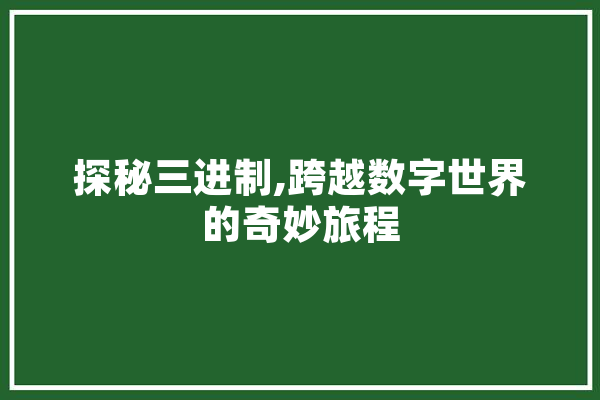 探秘三进制,跨越数字世界的奇妙旅程
