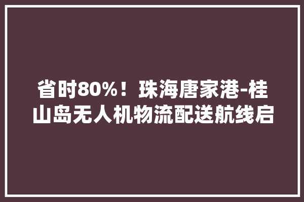 省时80%！珠海唐家港-桂山岛无人机物流配送航线启动运营_无人机_低空