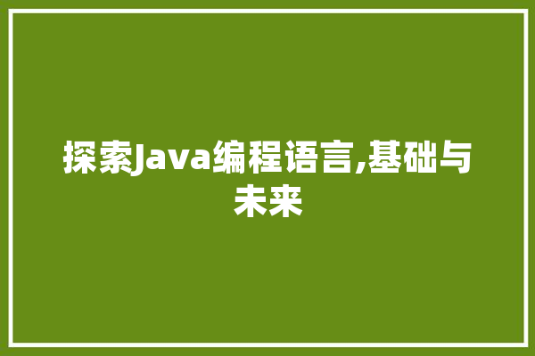 探索Java编程语言,基础与未来