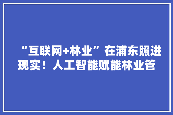 “互联网+林业”在浦东照进现实！人工智能赋能林业管护还有望融入元宇宙_林业_聪明 绘影字幕
