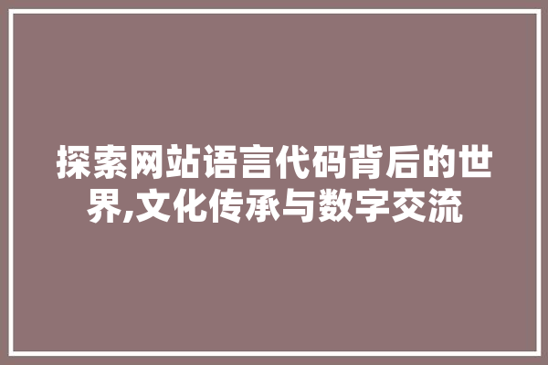 探索网站语言代码背后的世界,文化传承与数字交流