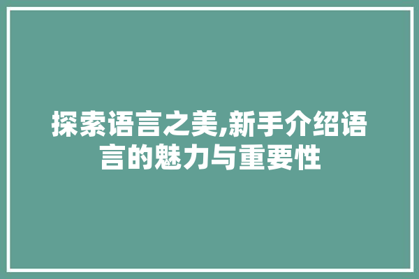 探索语言之美,新手介绍语言的魅力与重要性
