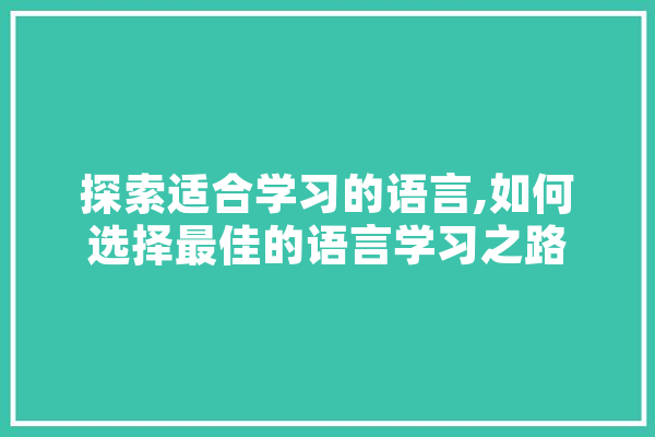 探索适合学习的语言,如何选择最佳的语言学习之路