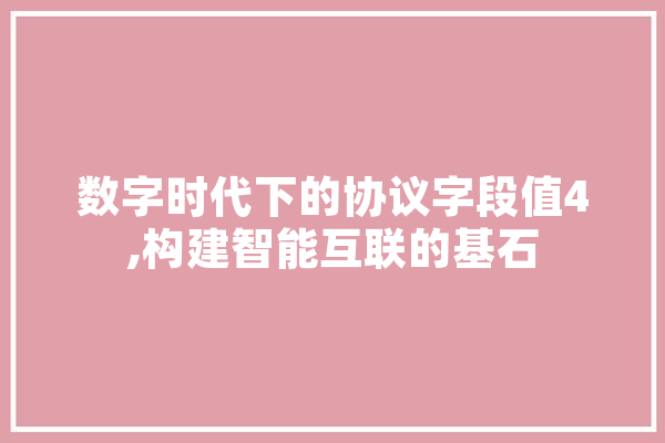 数字时代下的协议字段值4,构建智能互联的基石 计算机