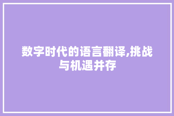 数字时代的语言翻译,挑战与机遇并存
