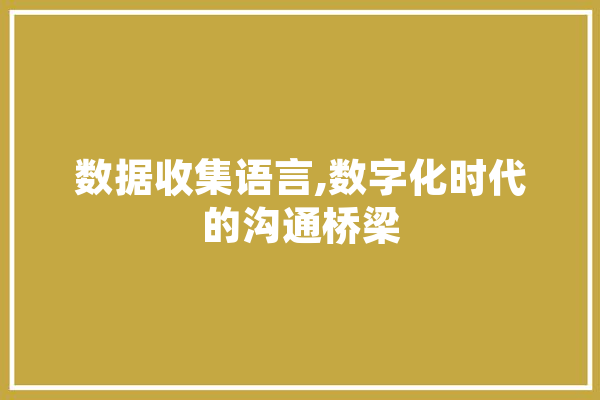 数据收集语言,数字化时代的沟通桥梁