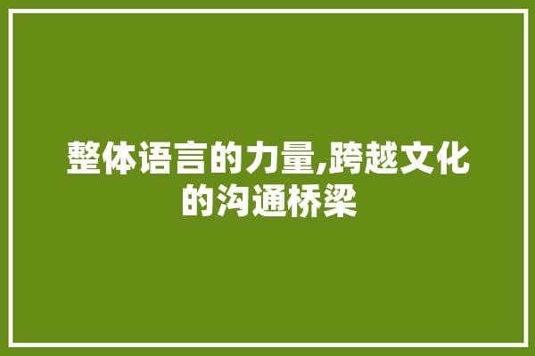 整体语言的力量,跨越文化的沟通桥梁 科技快讯