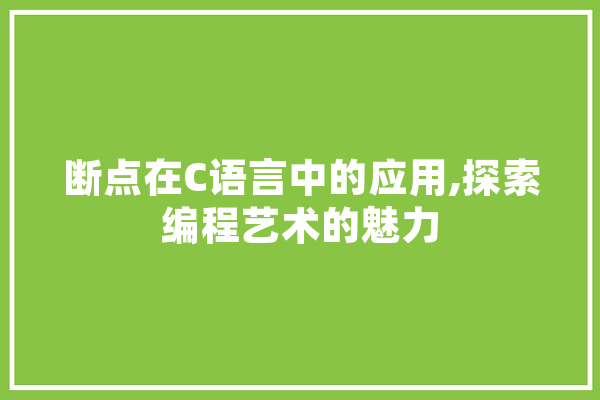 断点在C语言中的应用,探索编程艺术的魅力