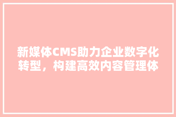 新媒体CMS助力企业数字化转型，构建高效内容管理体系