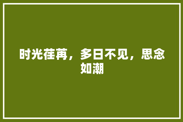时光荏苒，多日不见，思念如潮 AI快讯