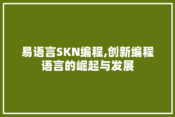 易语言SKN编程,创新编程语言的崛起与发展 AI快讯