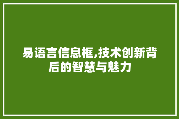 易语言信息框,技术创新背后的智慧与魅力 云服务